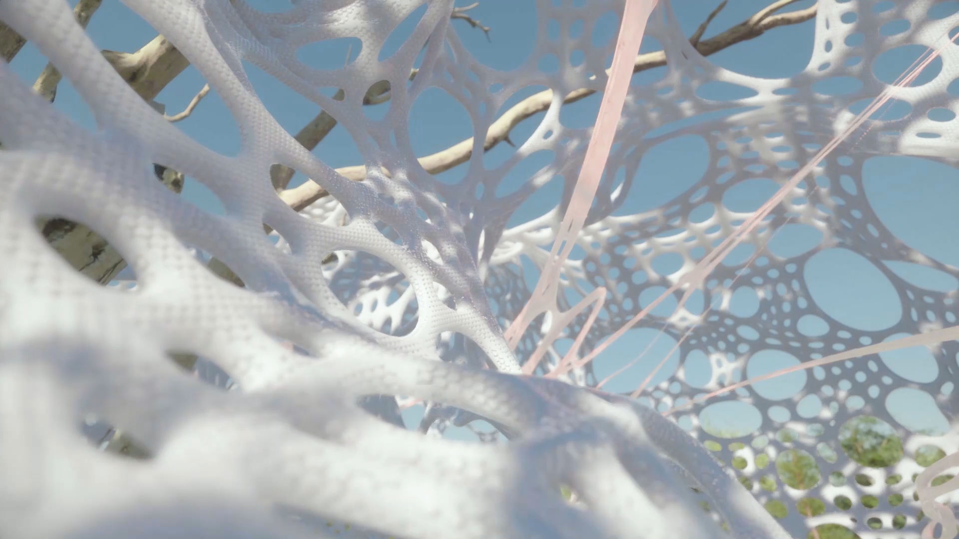 3D Environment Design