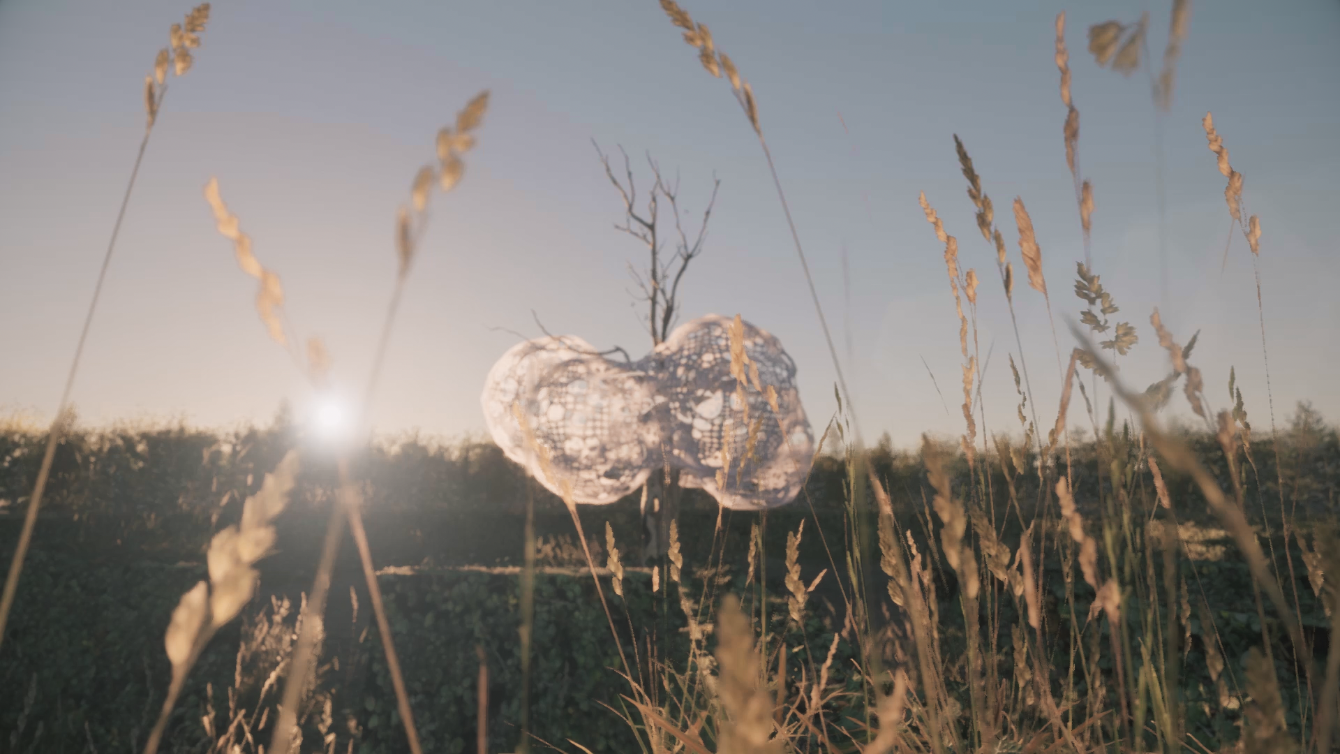 Mira Interactive Art